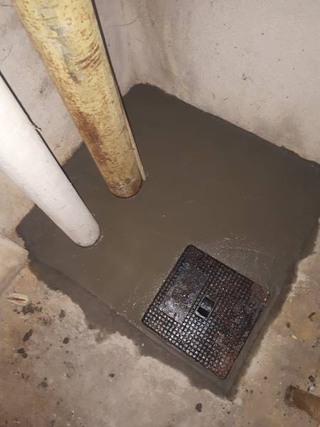 Dératisation dans la cave d’un restaurant du 8ème arrondissement de Marseille